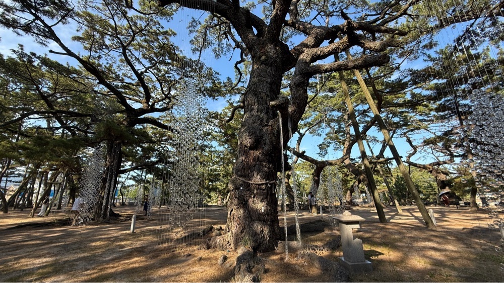 みぃさんが投稿した志度寺に関する口コミの画像