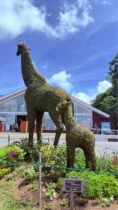 迦葉山