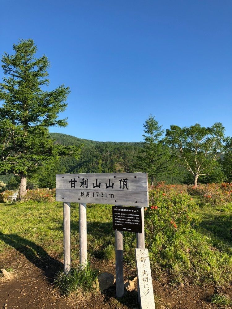 Nさんが投稿した甘利山のレンゲツツジに関する口コミの画像