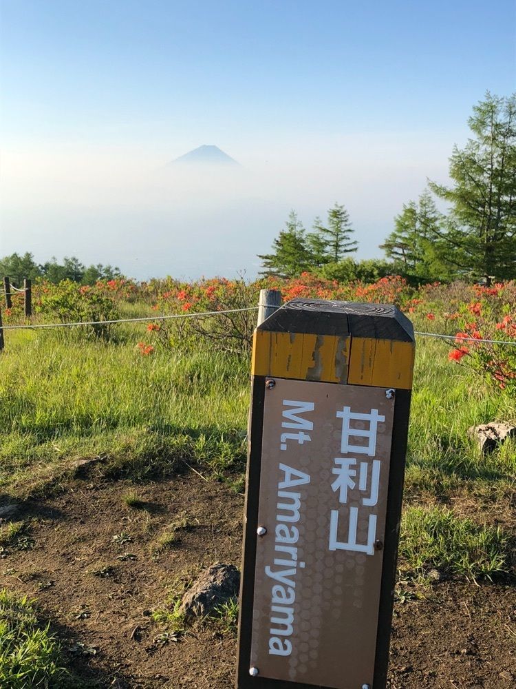 Nさんが投稿した甘利山のレンゲツツジに関する口コミの画像