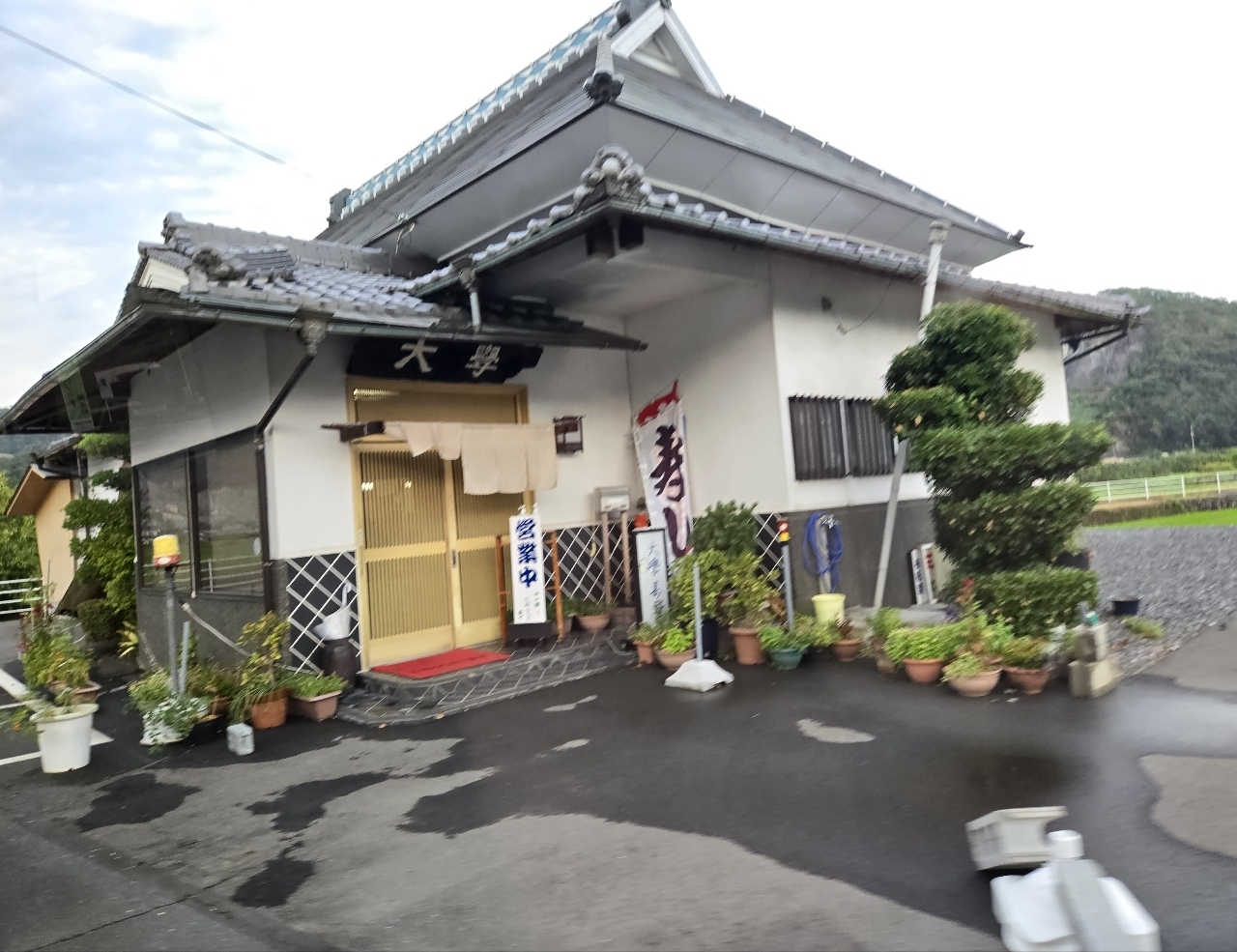 じゅりぽんさんが投稿した大学寿司に関する口コミの画像