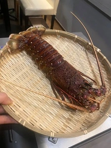 鍋・海鮮居酒屋 伊勢海老 たくと 大阪本町店
