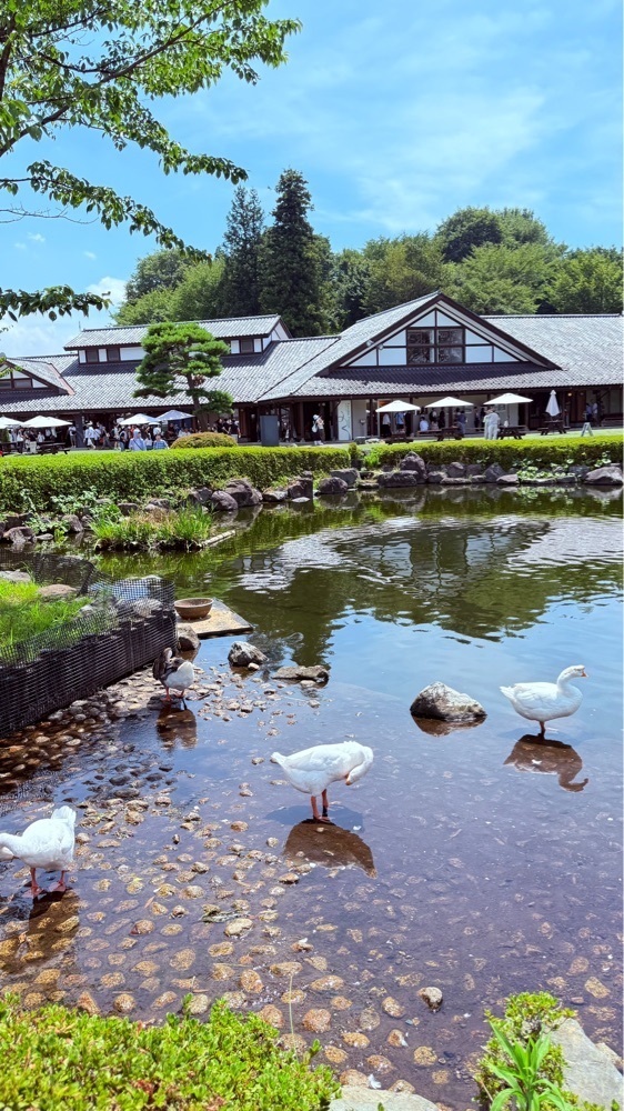 miiさんが投稿した道の駅 川場田園プラザに関する口コミの画像