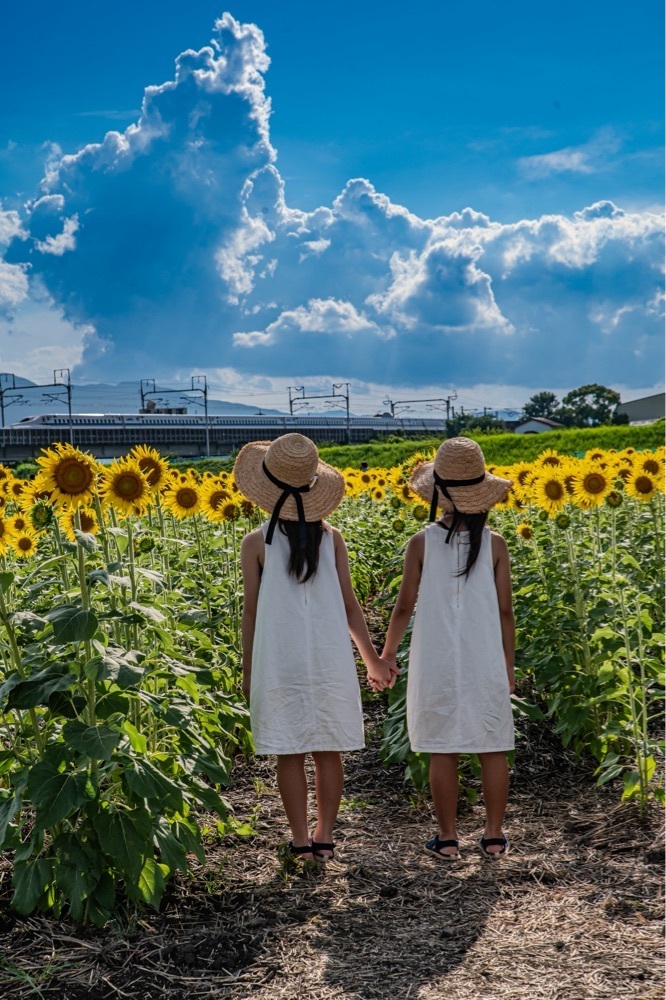 佳さんが投稿した大垣ひまわり畑に関する口コミの画像
