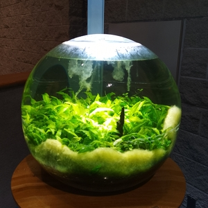 群馬県立自然史博物館