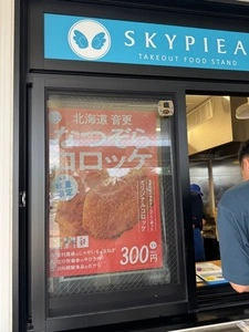 SKYPIEA（スカイピア）