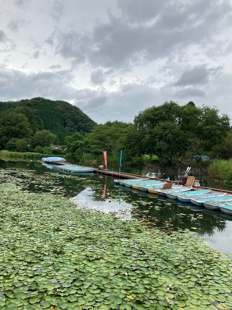 Nさんが投稿した千代田湖（丸山貯水池）に関する口コミの画像