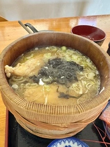 海陽