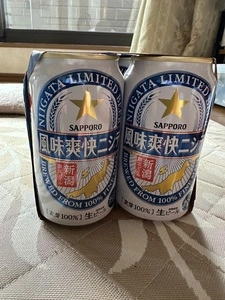 新潟空港