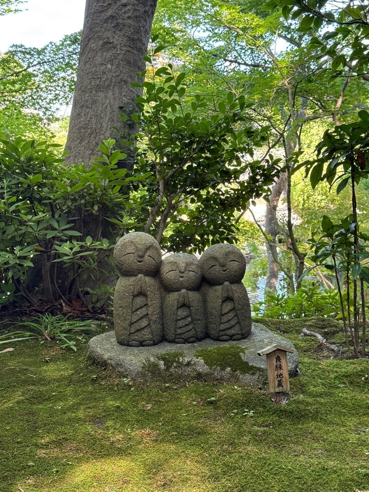 miku_ru 210さんが投稿した長谷寺　阿弥陀堂に関する口コミの画像