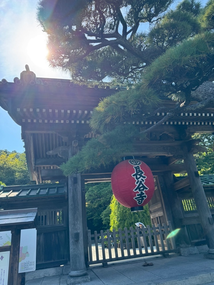 miku_ru 210さんが投稿した長谷寺　阿弥陀堂に関する口コミの画像