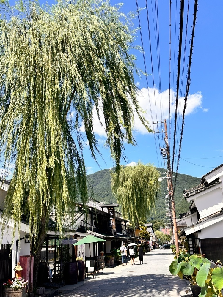 かめ_メグミさんが投稿した池波正太郎真田太平記館に関する口コミの画像