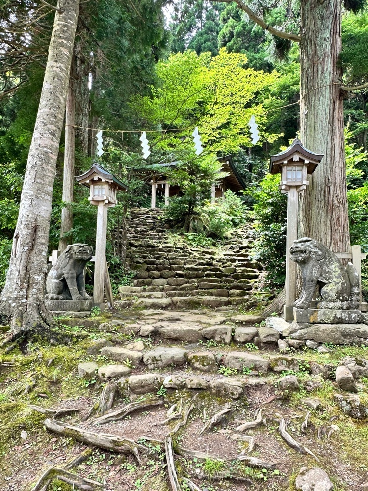 BOM-BA-YEさんが投稿した真山神社に関する口コミの画像
