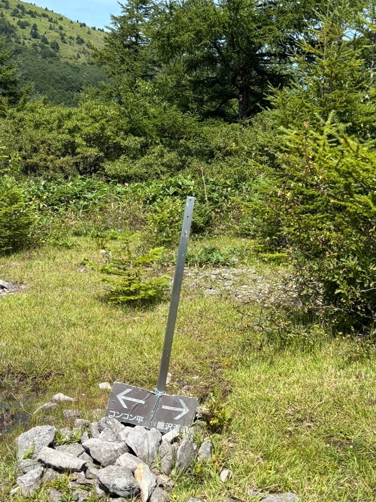 それなはとけさんが投稿した湯の丸に関する口コミの画像