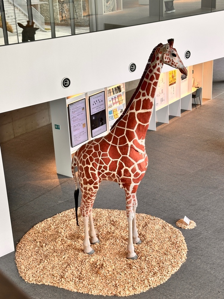 かめ_メグミさんが投稿した長野県立美術館・東山魁夷館に関する口コミの画像
