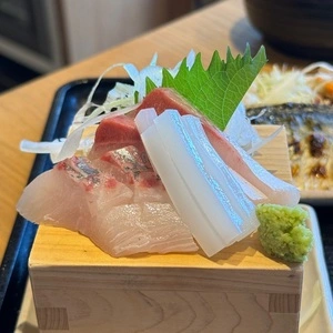 メシヤ ハマビ