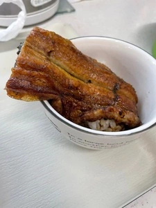 魚伊