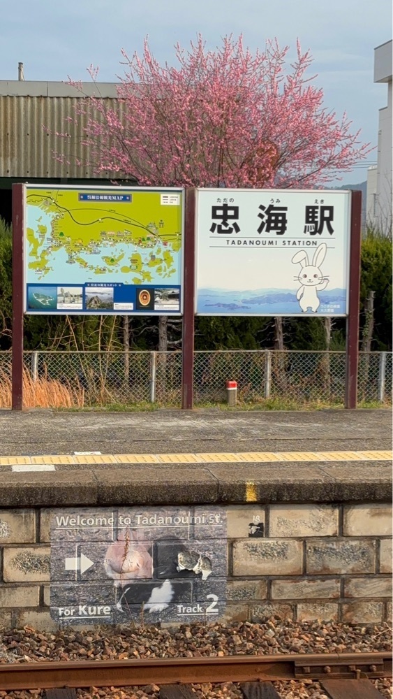カランさんが投稿した忠海港に関する口コミの画像