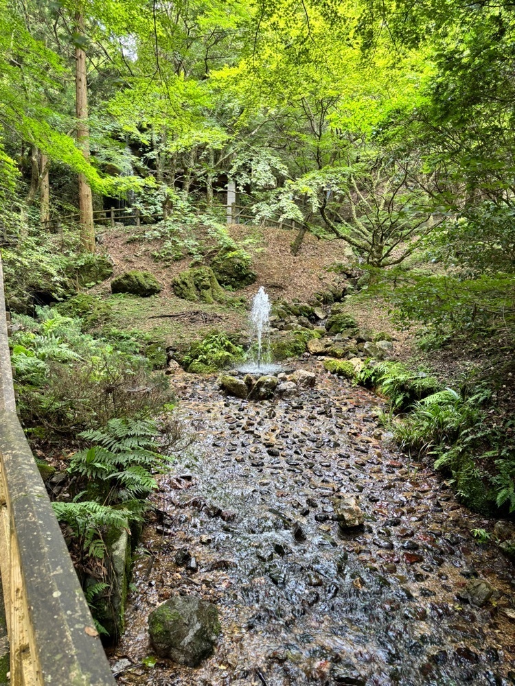 みーなさんが投稿した西寺水神公園そうめん流しに関する口コミの画像