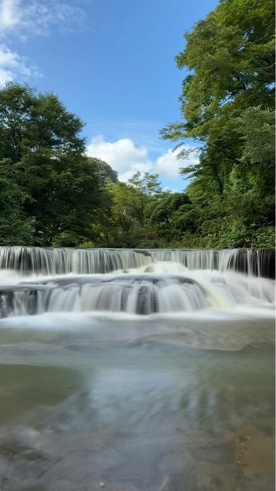 ぺたこ♡さんが投稿した宮島峡に関する口コミの画像