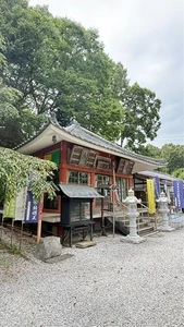 不動寺の撫子