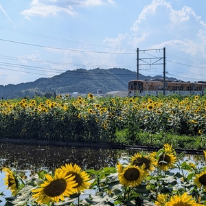 万葉の森船岡山