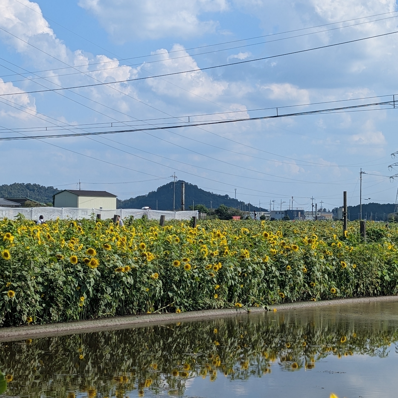 ぬっくさんが投稿した万葉の森船岡山に関する口コミの画像