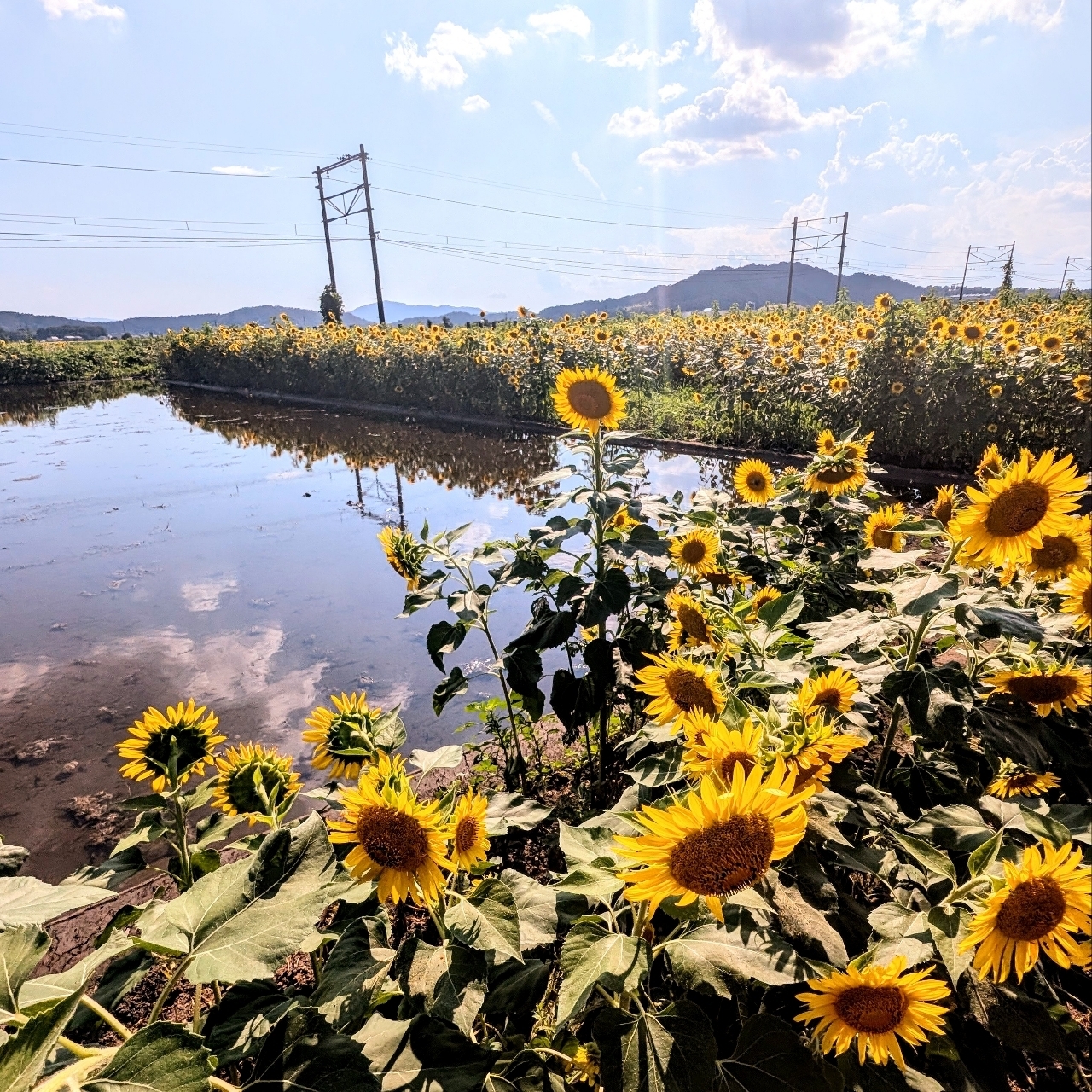 ぬっくさんが投稿した万葉の森船岡山に関する口コミの画像