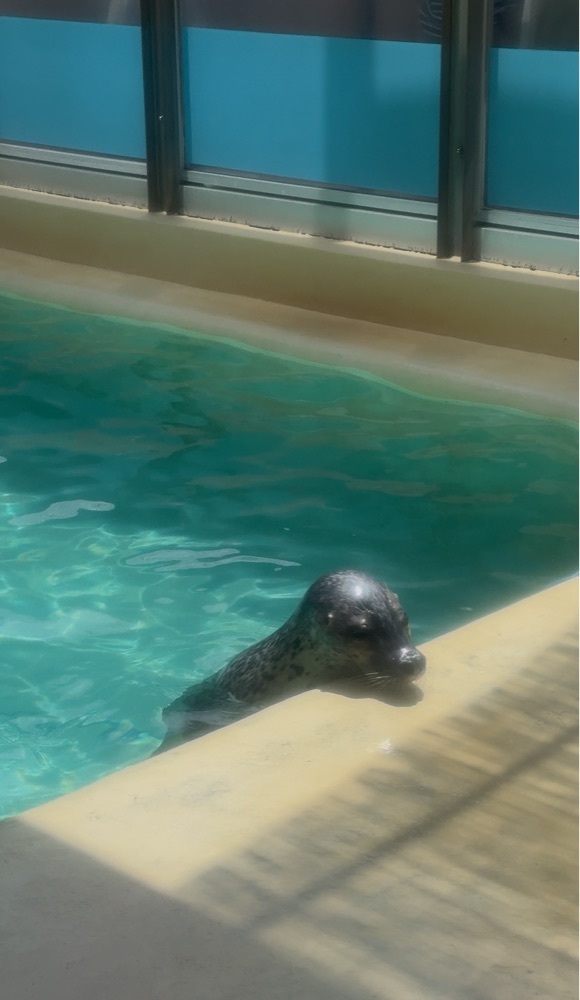 ぺたこ♡さんが投稿した魚津水族館に関する口コミの画像