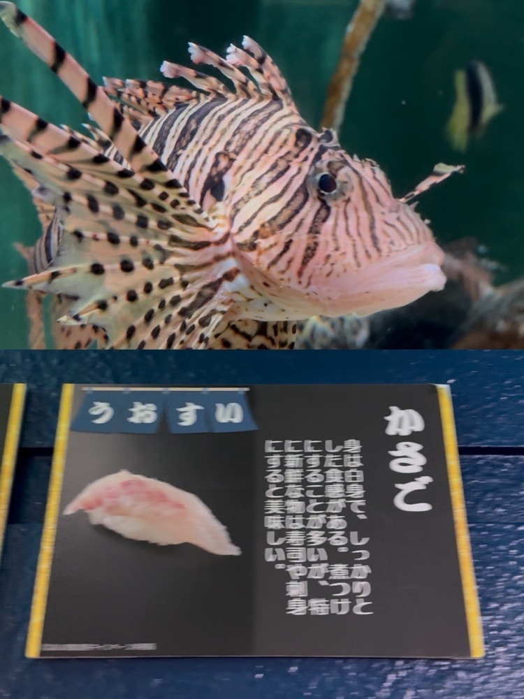 ぺたこ♡さんが投稿した魚津水族館に関する口コミの画像