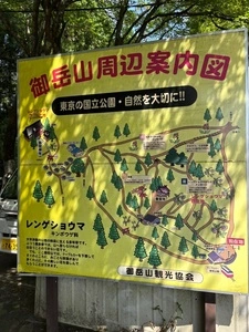 紅葉屋