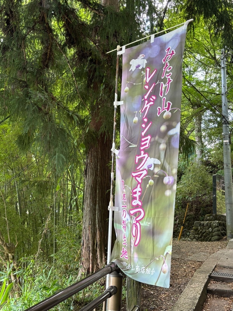 それなはとけさんが投稿した紅葉屋に関する口コミの画像