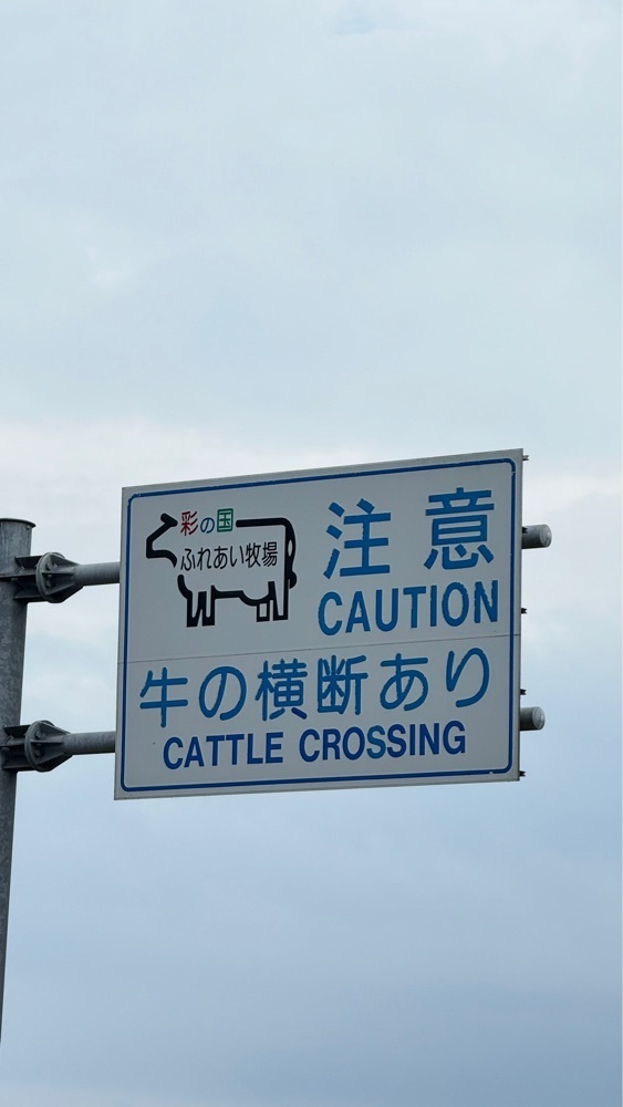 miiさんが投稿したミルクハウスに関する口コミの画像