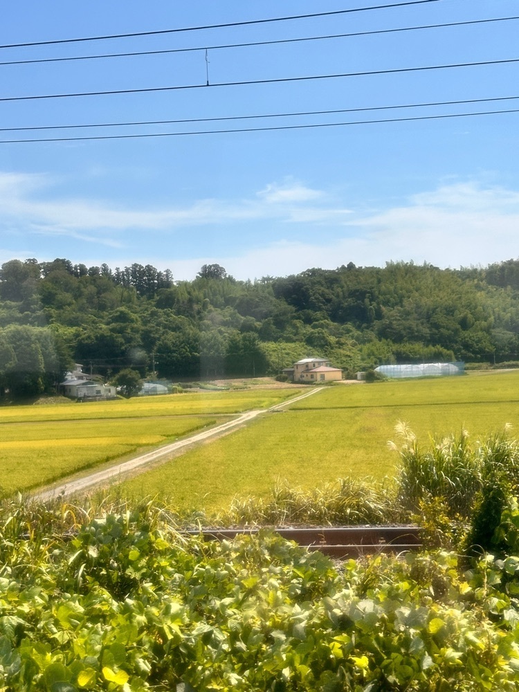 かめ_メグミさんが投稿した小牛田駅に関する口コミの画像