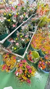 JA南彩 菖蒲グリーンセンター