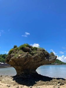 アマミチューの墓