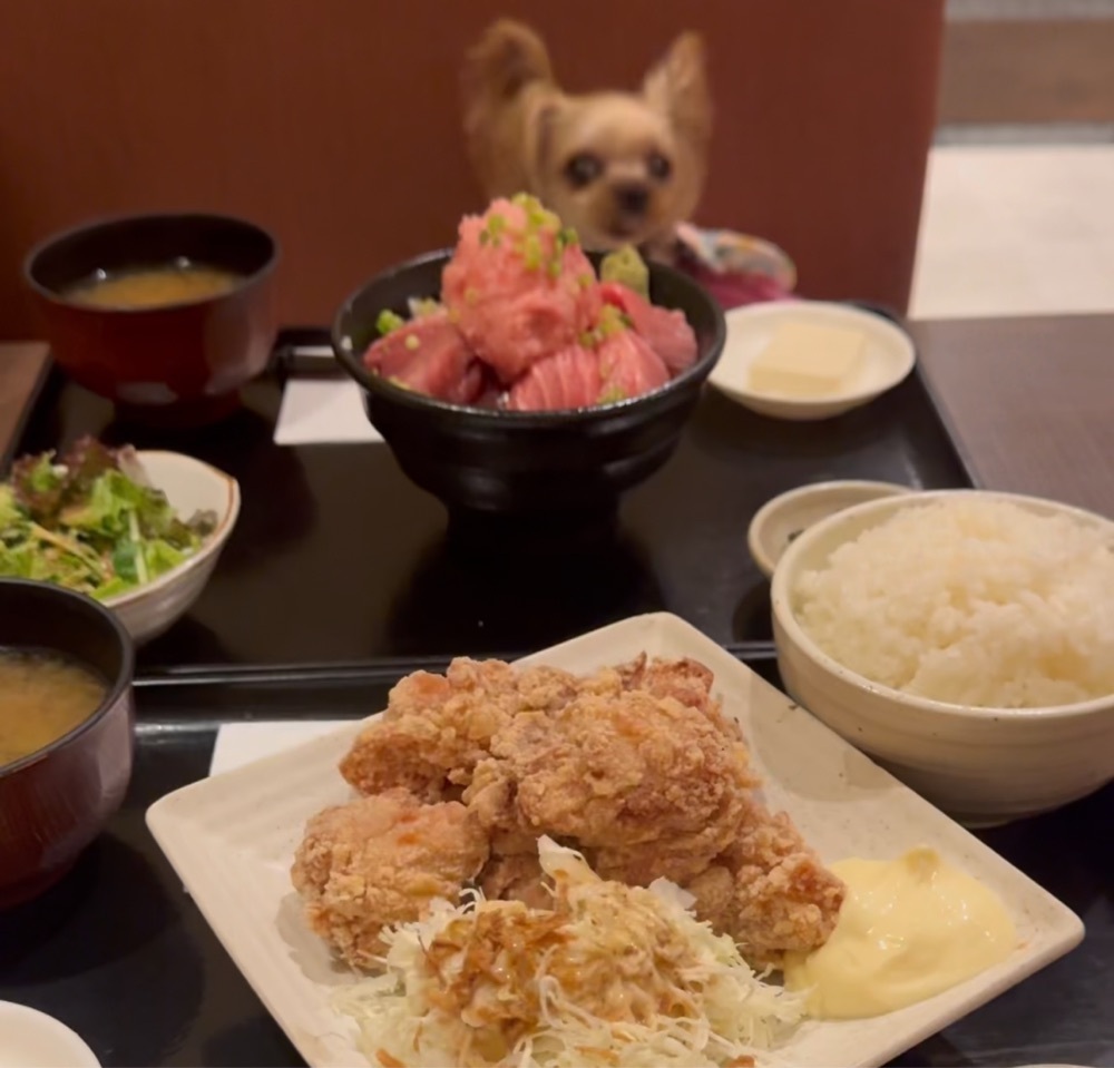 居眠ぱんださんが投稿した黒松屋 日比谷店に関する口コミの画像