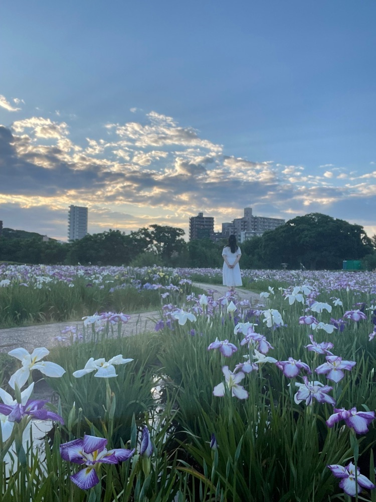 みかんさんが投稿した小岩菖蒲園に関する口コミの画像
