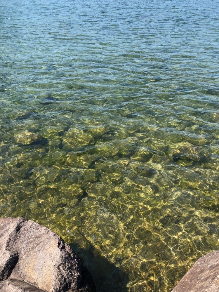 gakky29さんが投稿した浮見堂公園に関する口コミの画像