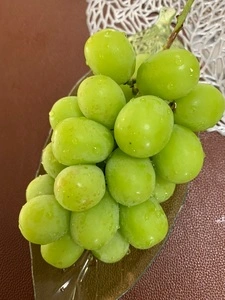 イオンスタイル 碑文谷店