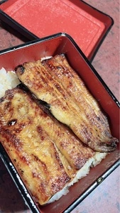 みよし鮨