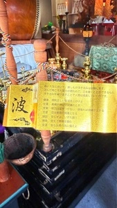 不動寺の撫子