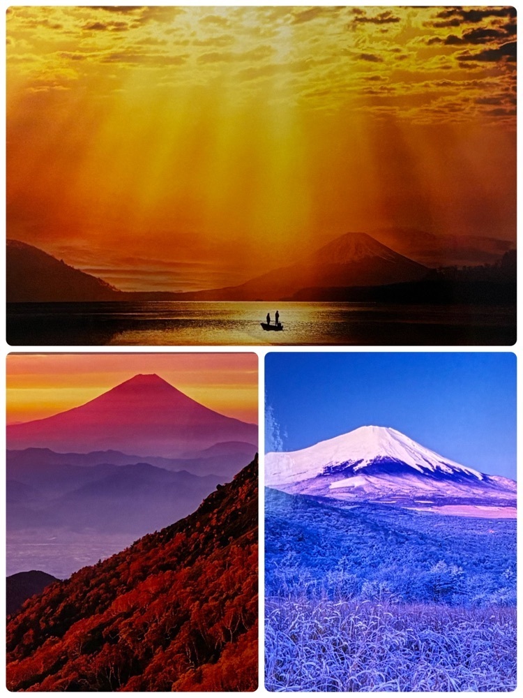 delicious_museum_7212さんが投稿した山梨県立富士山世界遺産センターに関する口コミの画像