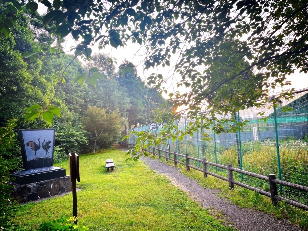 猫なぎ。さんが投稿した丹頂鶴自然公園に関する口コミの画像