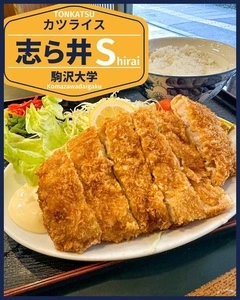 志ら井（シライ）