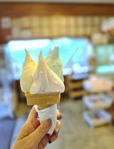 まつだ牧場ミルク工房