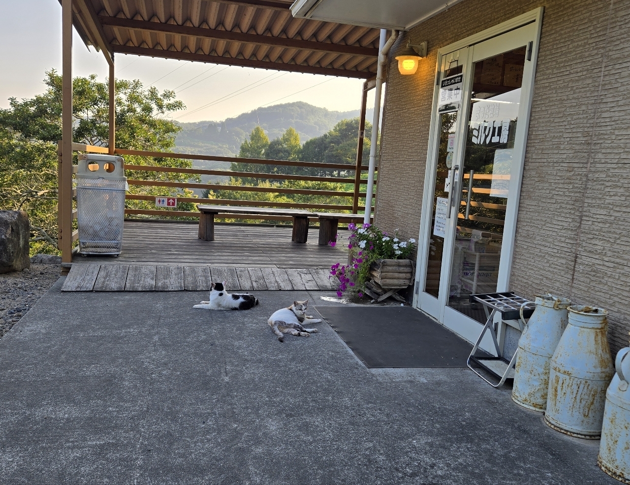 じゅりぽんさんが投稿したまつだ牧場ミルク工房に関する口コミの画像