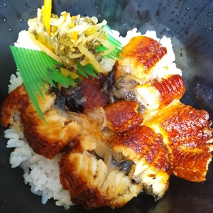 ほっともっと藤岡芦田店