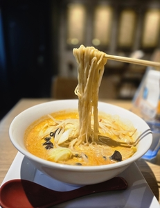 METZ 麻辣湯