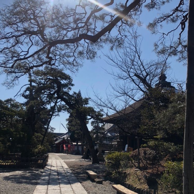 mihos0613さんが投稿した善光寺街道に関する口コミの画像